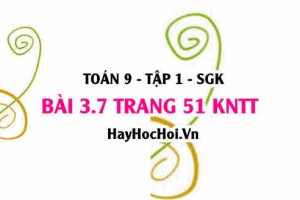 Bài 3.7 trang 51 Toán 9 tập 1 Kết nối tri thức